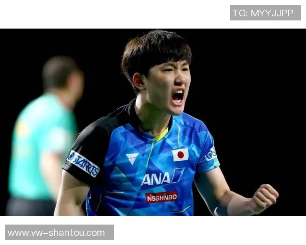 尼达克与科克城激战在即谁将赢得这场精彩对决