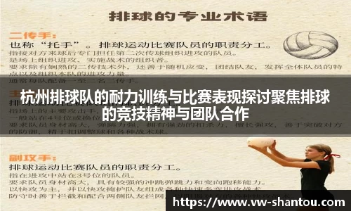 杭州排球队的耐力训练与比赛表现探讨聚焦排球的竞技精神与团队合作