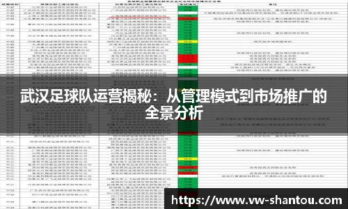 武汉足球队运营揭秘：从管理模式到市场推广的全景分析